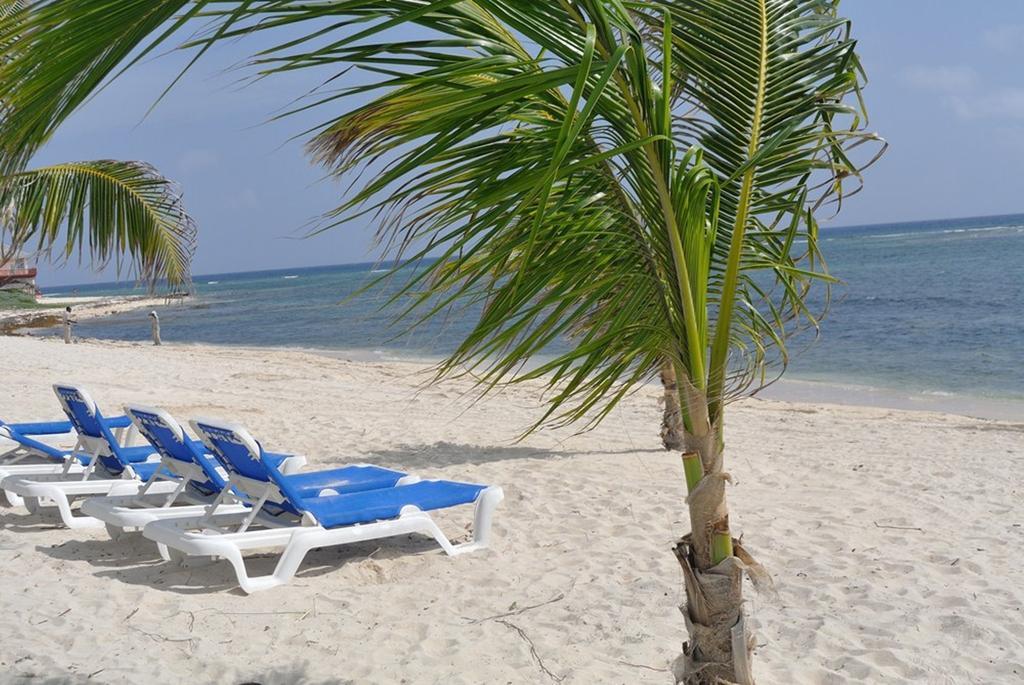 Castaways Cayman Beach Resort Grand Cayman Экстерьер фото